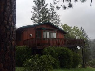 3365 Gas Canyon Ct, Michigan Bluff, CA 95631-9788