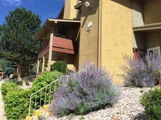 1327 84th Ave, Denver CO  80260-4725 exterior