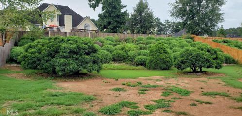 224 Memory Ln, Stockbridge GA  30281-6294 exterior