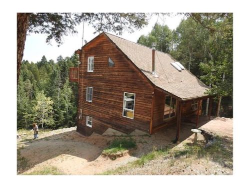 11724 Little Turtle Ln, Conifer, CO 80433-7102