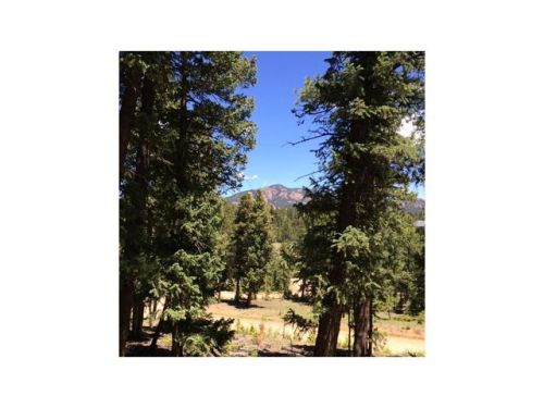 175 Forest Ridge Rd, Pine, CO 80470-7928