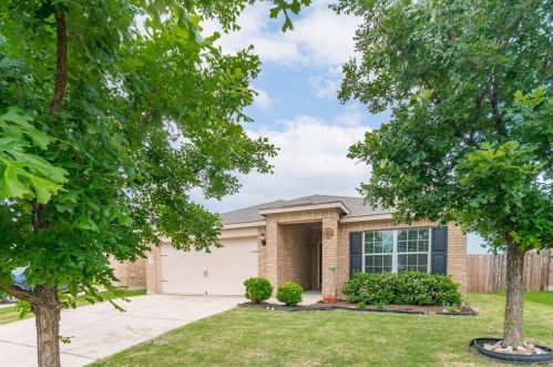 19412 Tayshas St, Webberville, TX 78653-3993