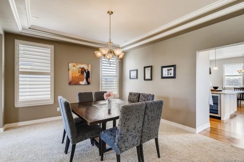 22338 Hidden Trail Dr, Parker CO  80138-8847 exterior