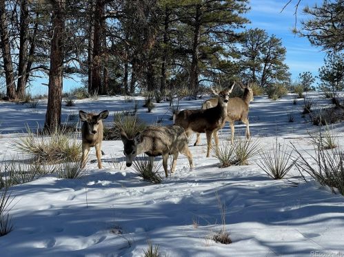 8164 Ider Ct, Denver CO  80016 exterior