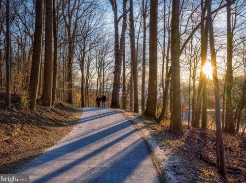 7247 Riding Hood Cir, Columbia MD 21045-5237 exterior