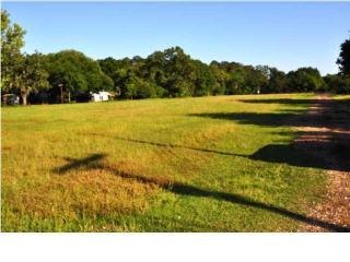 6069 Savannah Hwy, Ravenel, SC 29470-5524