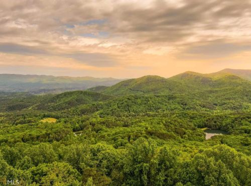 28 Ridgehaven Trl, Ellijay, GA 30536-0044