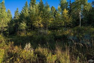 198 Lucksinger Ln, Cordillera, CO 81632-6165