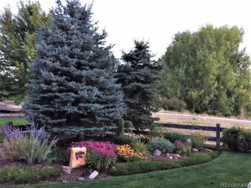 22318 Quail Run Way, Parker CO 80138-3121 exterior