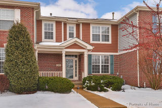 233 Garden Dr, Hoffman Estates IL  60124-0213 exterior