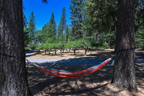 6612 Log Cabin Ln, Swansboro Country, CA 95667-8356