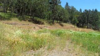 1450 Wagon Trail Dr, Applegate, OR 97530-9841
