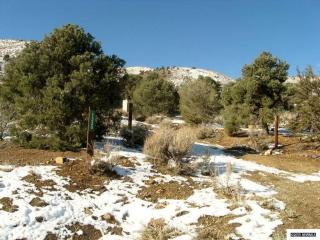 1320 Slate Rd, Wellington, NV 89444-9482