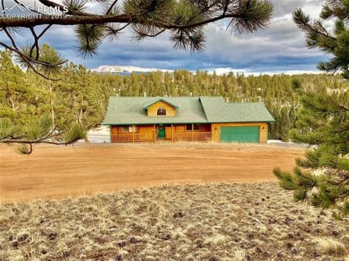 388 Buck Lake Dr, Divide, CO 80814-9793