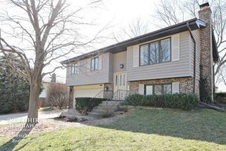 709 Merlin Dr, Schaumburg IL  60193-4320 exterior