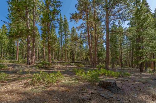 11590 Bottcher Loop, Truckee CA  96161-2786 exterior