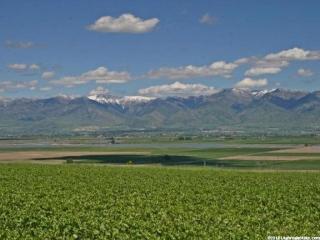 6950 2700, Petersboro, UT 84325