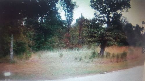 701 Oakridge Dr, Gepp, AR 72538