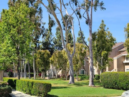 4 Windjammer, Irvine CA  92614-7438 exterior