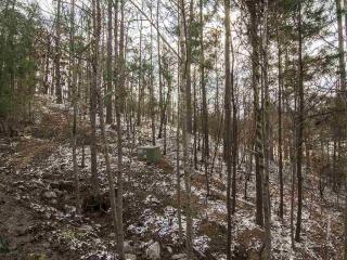 1350 Snug Harbor Dr, Reynolds Plantation, GA