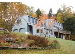 173 Asa Grout Ln, Weathersfield VT  05151-9533 exterior