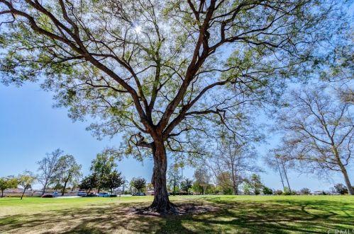 730 Halliday St, Anaheim CA  92804-3129 exterior