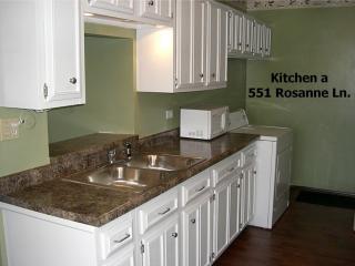 551 Rosanne Ln, Romeoville IL  60441-5400 exterior