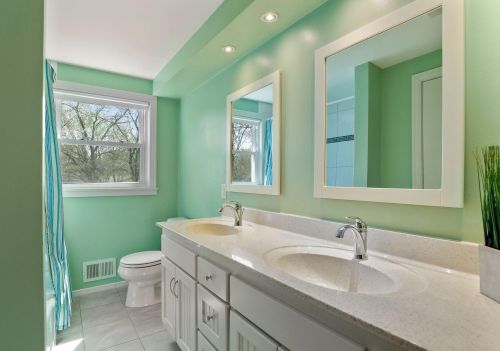 1372 Hazel St, Saint Paul MN  55119-4507 exterior