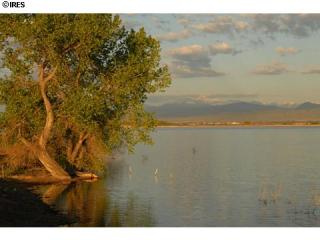 3150 Majestic View Dr, Timnath, CO 80547-4431