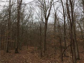 6013 Beech Hill Rd, Pegram, TN 37143-2414