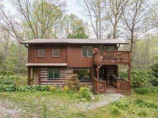 61 Reed Rd, Fairview, NC 28730-8624