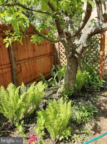 806 Front St, Philadelphia PA 19106-3019 exterior