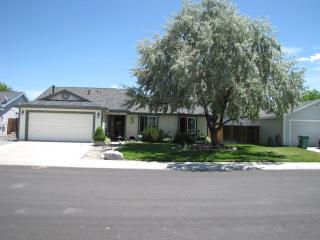 327 Monte Cristo Dr, Dayton, NV 89403-9333