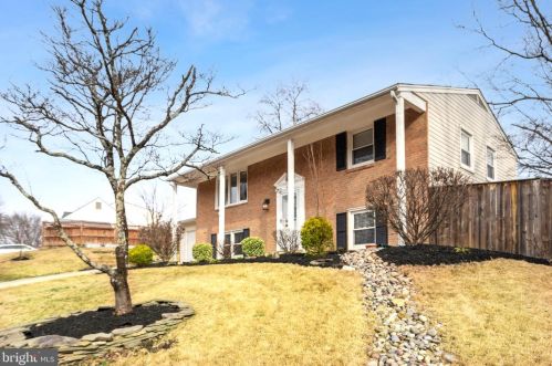 6819 Lavant Dr, Springfield, VA 22152-3250