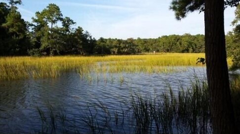 324 Tidal Place Cir, Mount Pleasant, SC 29464-7768
