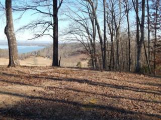10027 Caseview Dr, Harrison, TN 37341