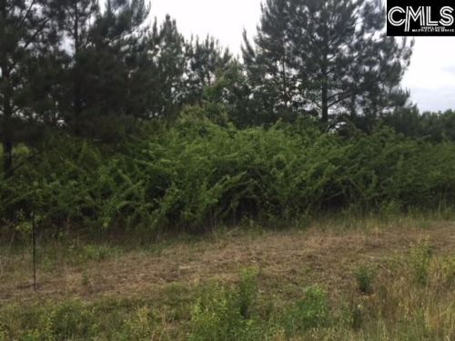 2356 Camp Rd, Bethune, SC 29009-9060