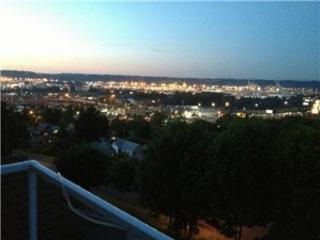 3002 Valley View Ter, Tacoma, WA 98404-3200