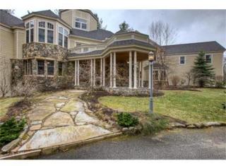 25 London Bridge Rd, Windham, NH 03087-1716