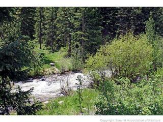 774 Willow Creek Ct, Silverthorne, CO 80498-9539