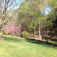 1009 Swinks Mill Rd, Mc Lean, VA 22102-2128