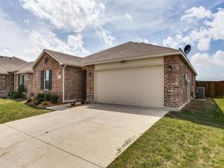 10209 Pyrite Dr, Fort Worth TX  76131-4335 exterior