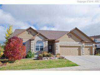 15631 Agate Crk Dr, Woodmoor CO  80132-6049 exterior