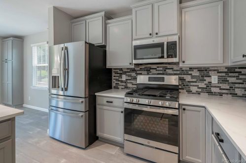 24738 Layton Pl, Denver CO exterior