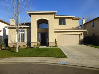3152 Bramham Ct, Modesto, CA 95355-8676