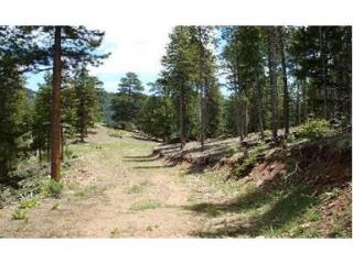 12300 Tecumseh Trl, Conifer, CO 80433-6929