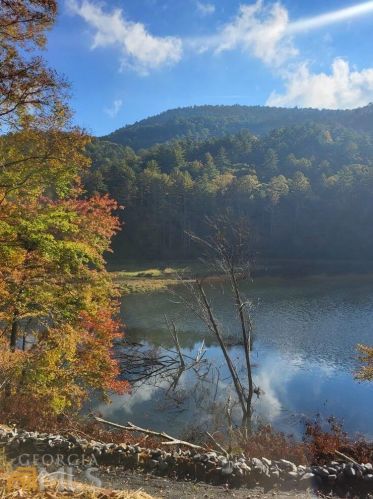 381 Cohutta Wilderness Trl, Ellijay, GA 30540-0002