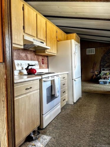 588 Coronado Dr, Deckers CO 80135-8316 exterior