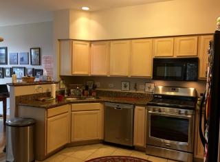 115 Chestnut Hills Cir, Willowbrook IL  60527-6987 exterior
