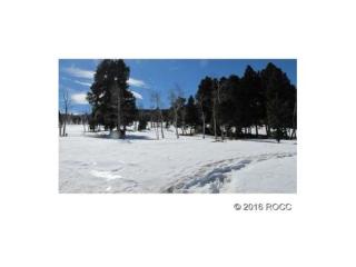 1421 Pitchfork Rd, Hartsel, CO 80449-8545